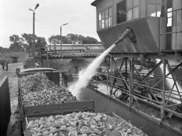 Cukrownia "Zbiersk" kampania 1971_4